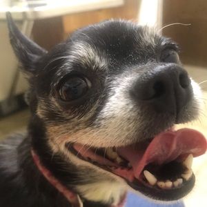 Meet your Posher, Alicia